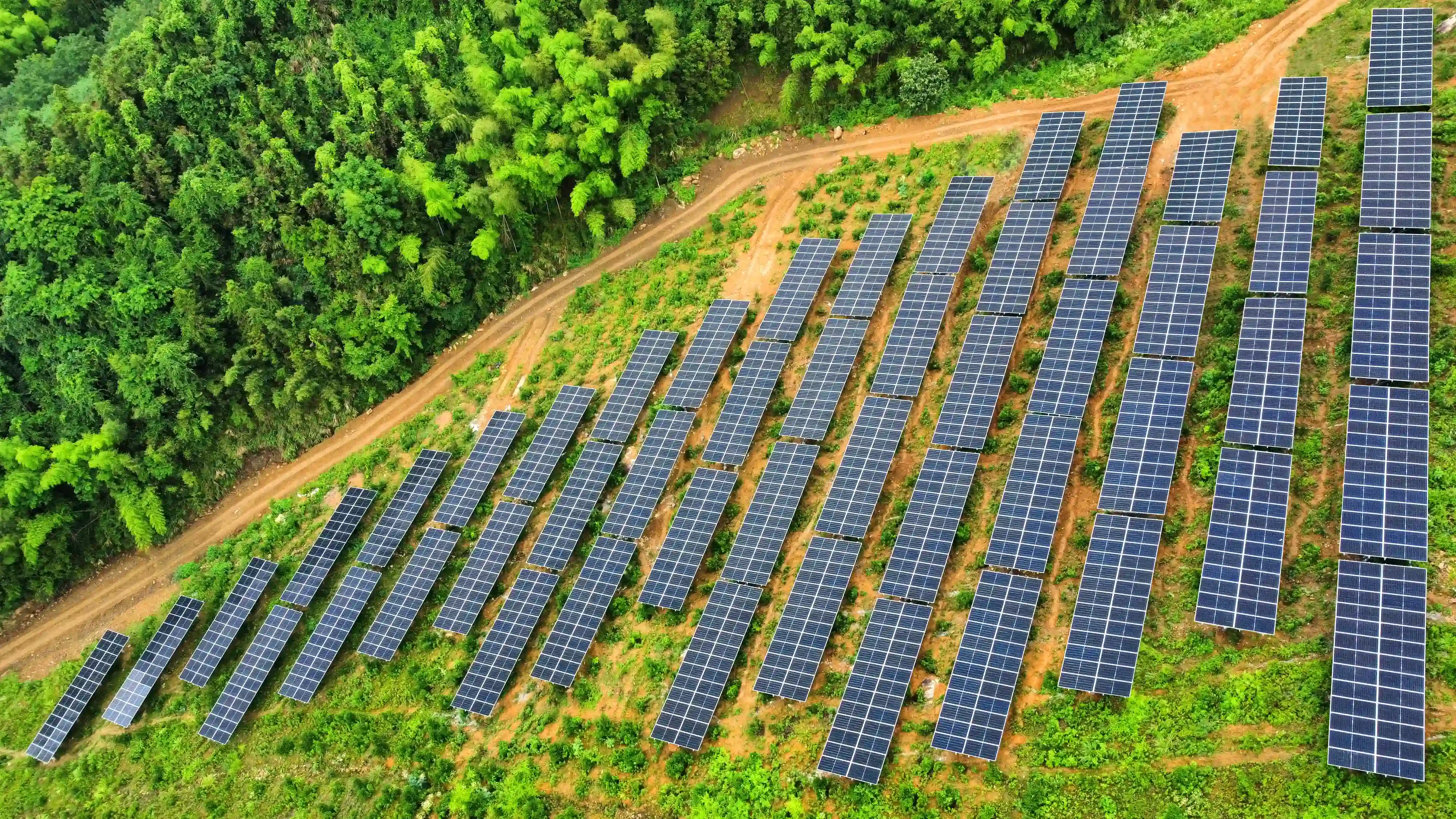 WPS图片(1) (1) (1).webp